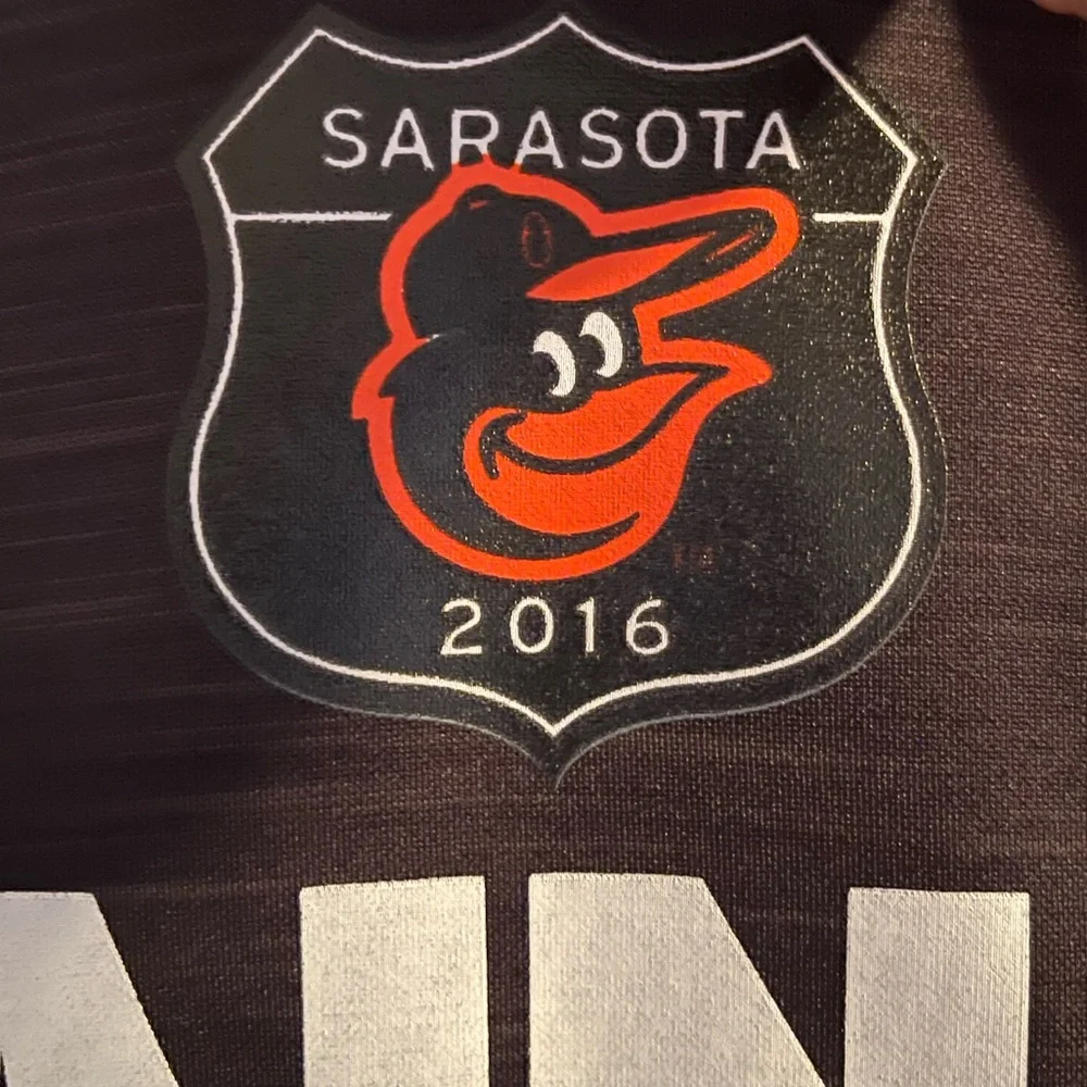 LIKE NEW Men’s Majestic Baltimore Orioles 2016 Spring Training Hoodie - Picture 3 of 3